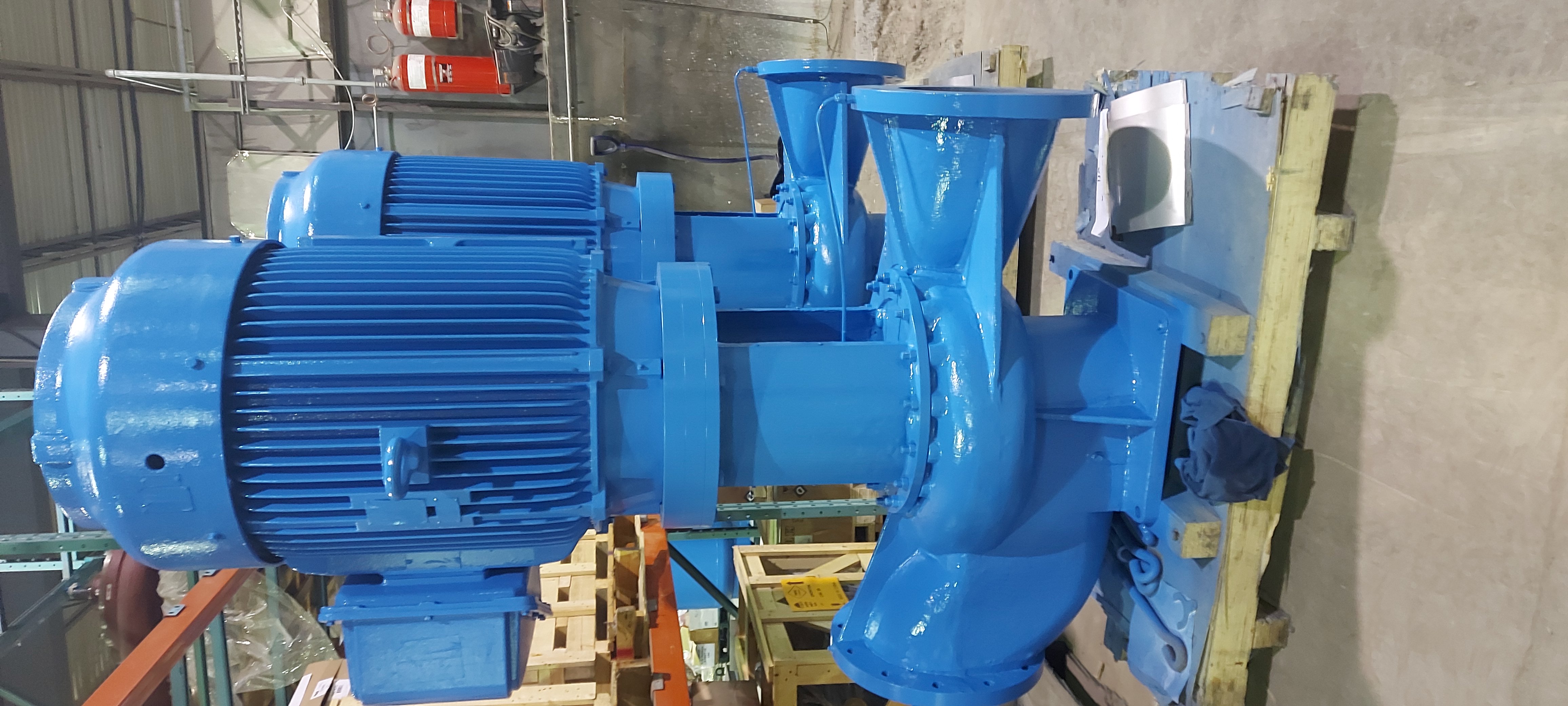 Photo: 20200910_084708.jpg